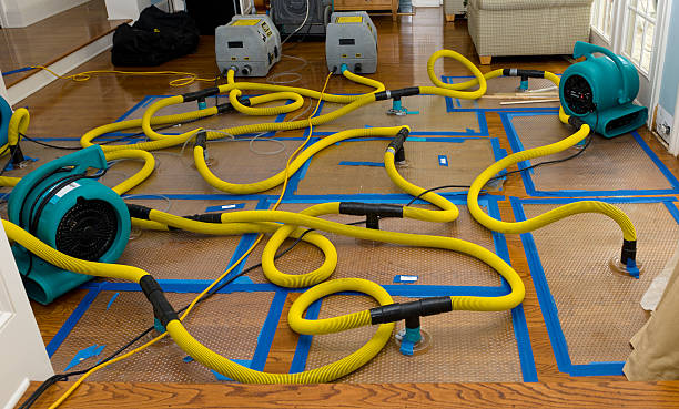 Professional Sewage Cleanup technician working in Fullerton, CA